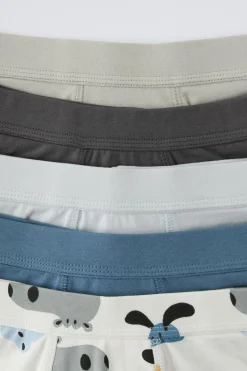 Niños ZARA 1½ - 6 Años·Ropa Interior / Calcetines|Accesorios / Zapatos / 0 - 14 Años<3-6 AÑOS/ PACK DE CINCO BOXERS ANIMALES