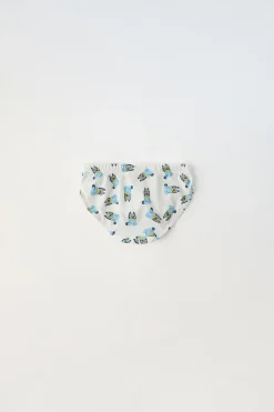 Niños ZARA 1½ - 6 Años·Licencias|1½ - 6 Años·Ropa Interior / Calcetines<2-6 AÑOS/ PACK TRES SLIPS BLUEY © LUDO STUDIO