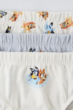 Niños ZARA 1½ - 6 Años·Licencias|1½ - 6 Años·Ropa Interior / Calcetines<2-6 AÑOS/ PACK TRES SLIPS BLUEY © LUDO STUDIO