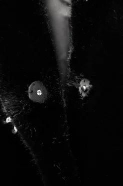 Hot ABRIGO EFECTO PELO JOYAS ZW COLLECTION Mujer Abrigos / Anoraks