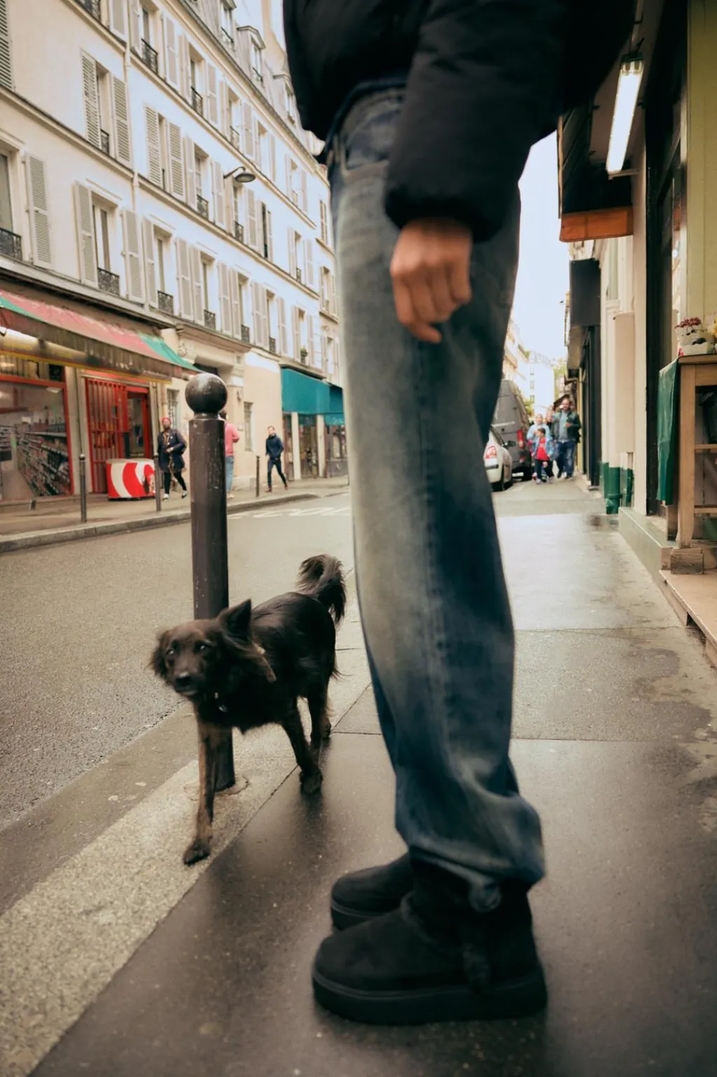 Discount BOTÍN EFECTO PELO Mujer Zapatos