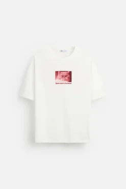 Discount CAMISETA FOTOGRAFÍA ANIMAL Hombre Camisetas