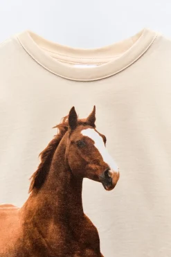 Niños ZARA 6 - 14 Años·Camisetas<CAMISETA FOTOGRAFÍA CABALLO