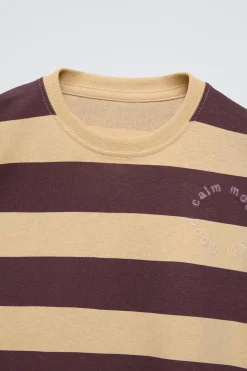 Niños ZARA 1½ - 6 Años·Camisetas|1½ - 6 Años·Camisetas<CAMISETA RAYAS BORDADO