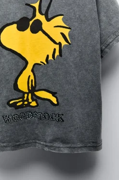 Niños ZARA 6 - 14 Años·Camisetas|6 - 14 Años·Camisetas<CAMISETA WOODSTOCK STRAS