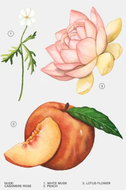 Outlet CASHMERE ROSE EDP 100ML (3.4 FL. OZ). Mujer Perfumes