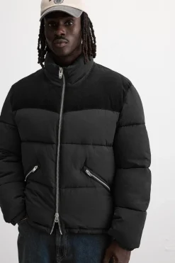 New CAZADORA ACOLCHADA COMBINADO PANA Hombre Plumíferos