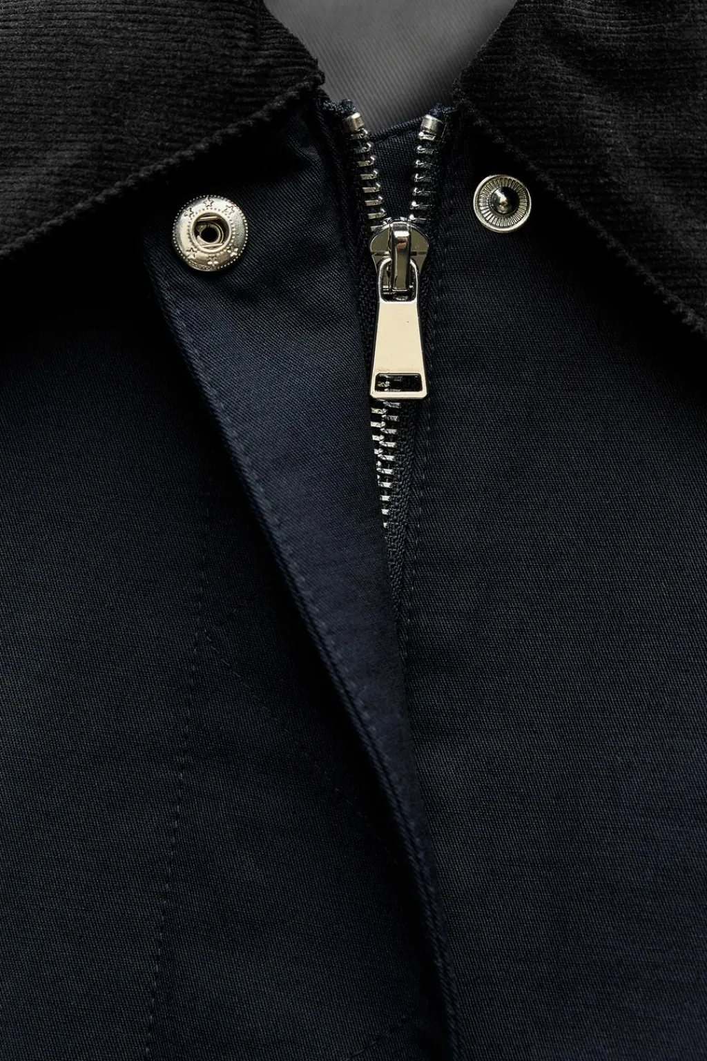 Hot CAZADORA CORTA CUELLO PANA Mujer Chaquetas / Cazadoras