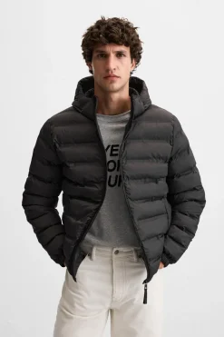 Online CAZADORA LIGERA ACOLCHADA Hombre Plumíferos