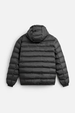 Online CAZADORA LIGERA ACOLCHADA Hombre Plumíferos