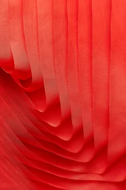 Best CHAQUETA ESTRUCTURA ORGANZA Mujer Chaquetas / Cazadoras