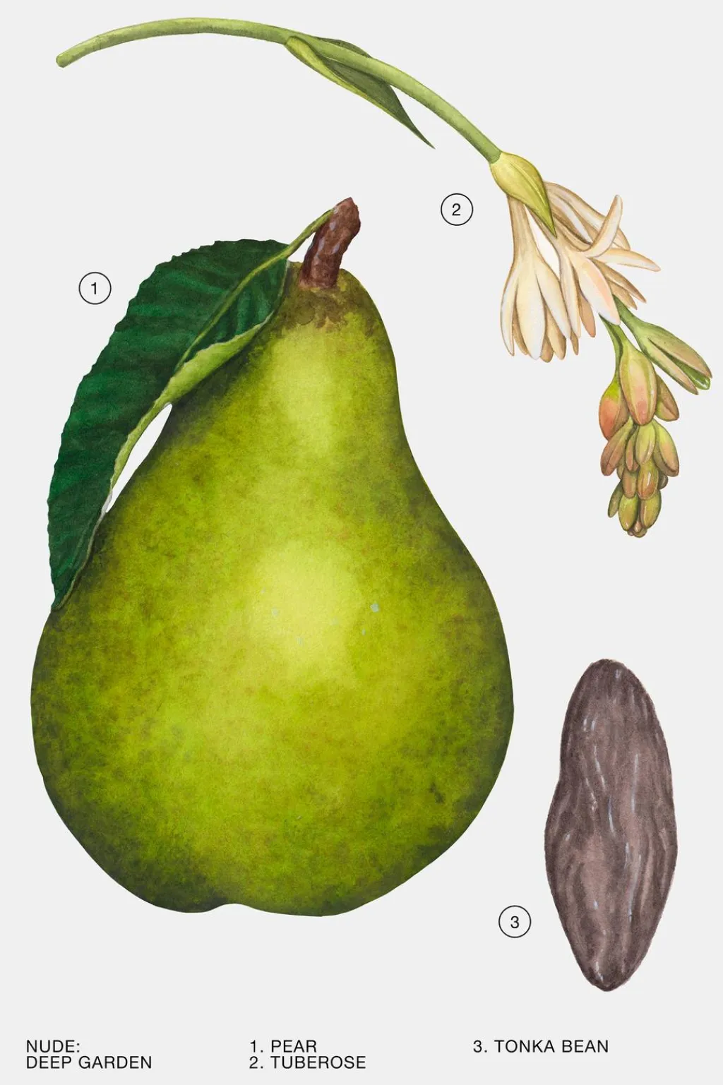 Online DEEP GARDEN EDP 30ML (1.0 FL. OZ). Mujer Perfumes