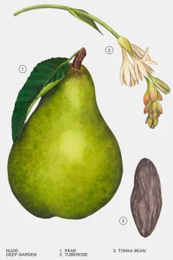 New DEEP GARDEN EDP 100ML (3.4 FL. OZ). Mujer Perfumes