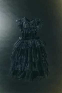 Niños ZARA 1½ - 6 Años·Accesorios|6 - 14 Años·Accesorios<DISFRAZ VESTIDO TUL