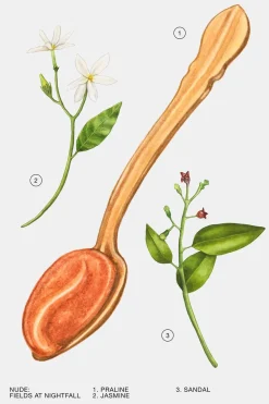 Online FIELDS AT NIGHTFALL EDP 30ML (1.0 FL. OZ). Mujer Perfumes