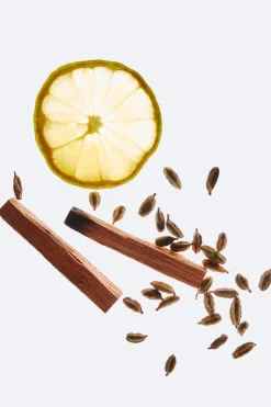 Outlet FOR HIM 100ML Hombre Perfumes