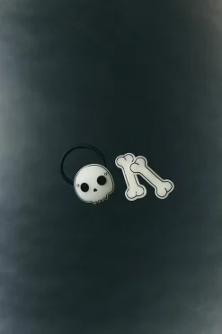 Niños ZARA 1½ - 6 Años·Accesorios|6 - 14 Años·Accesorios<PACK COLETERO CALAVERA Y PINZAS HUESOS GLOW IN THE DARK