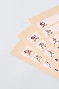 Niños ZARA 1½ - 6 Años·Licencias|1½ - 6 Años·Accesorios<PEGATINAS TERMOADHESIVAS © DISNEY