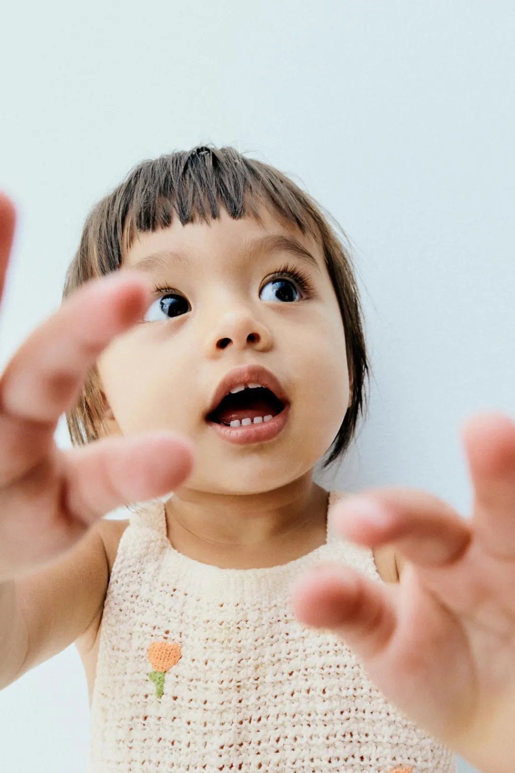 Niños ZARA 6 - 18 Meses·Punto|6 - 18 Meses·Vestidos / Monos<PELELE PUNTO FLORES BORDADAS