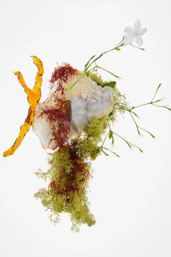 Fashion RED SWEET TEMPTATION EDP 30ML (1.0 FL. OZ). Mujer Perfumes