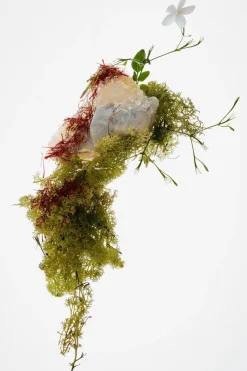 New RED TEMPTATION WINTER EDP 80ML (2.71 FL. OZ). Mujer Perfumes