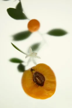 Sale SHADES OF LUST EDP 50ML (1.7 FL. OZ). Mujer Perfumes