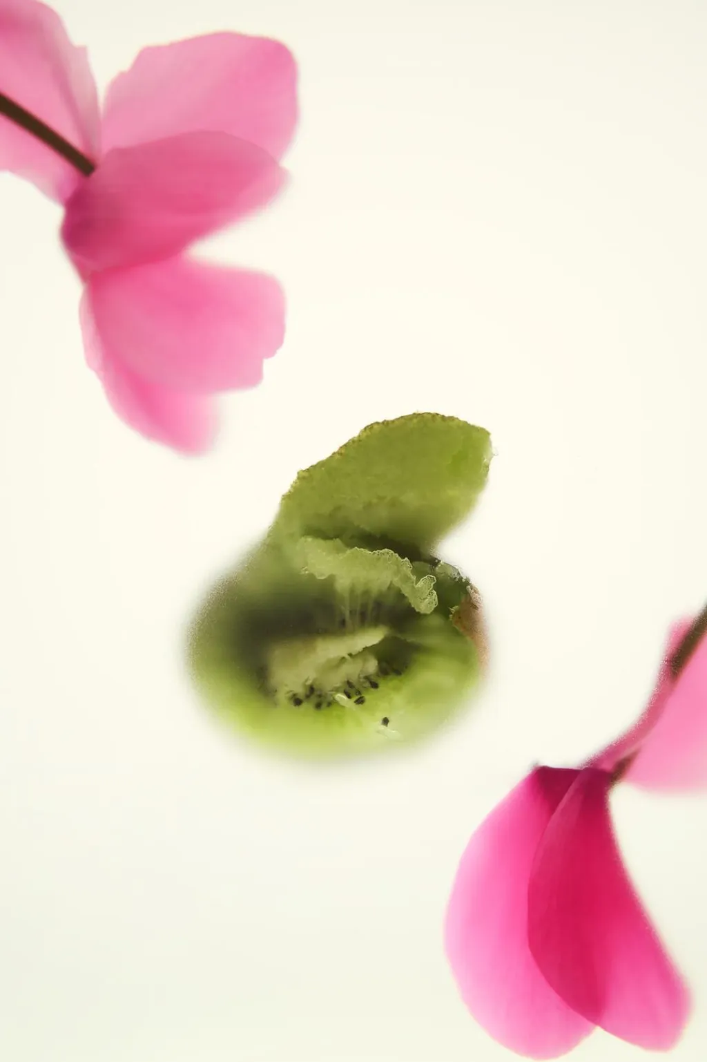 Best SHADES OF NOSTALGIA EDP 50ML (1.7 FL. OZ). Mujer Perfumes