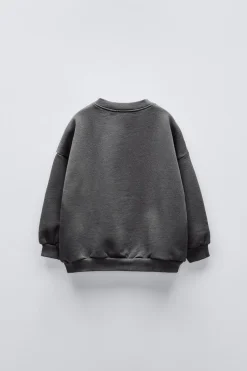 Niños ZARA 1½ - 6 Años·Sudaderas|1½ - 6 Años·Sudaderas<SUDADERA BORDADO FARO