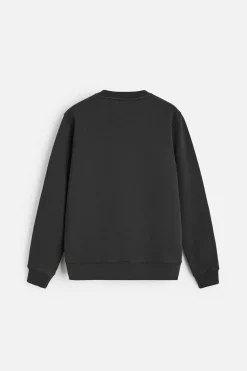 Fashion SUDADERA CREW NECK Hombre Sudaderas