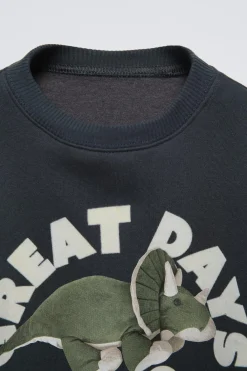 Niños ZARA 1½ - 6 Años·Sudaderas|1½ - 6 Años·Total Look<SUDADERA DINOSAURIO FLOCK