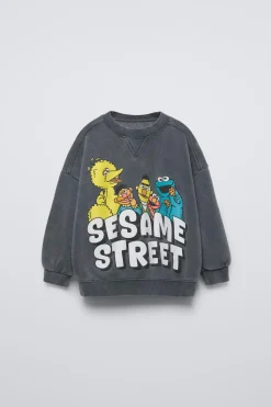 Niños ZARA 1½ - 6 Años·Sudaderas|1½ - 6 Años·Licencias<SUDADERA EFECTO LAVADO BARRIO SÉSAMO ©