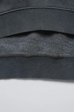 Niños ZARA 1½ - 6 Años·Sudaderas|1½ - 6 Años·Licencias<SUDADERA EFECTO LAVADO BARRIO SÉSAMO ©