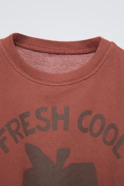 Niños ZARA 1½ - 6 Años·Sudaderas|1½ - 6 Años·Sudaderas<SUDADERA ESTAMPADA FRUTAS