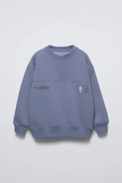 Niños ZARA 6 - 14 Años·Sudaderas<SUDADERA ESTAMPADO CORTE