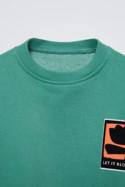 Niños ZARA 1½ - 6 Años·Sudaderas|1½ - 6 Años·Sudaderas<SUDADERA ESTAMPADO FLOCK