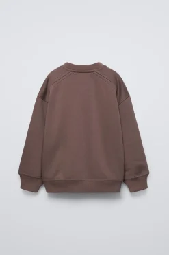 Niños ZARA 6 - 14 Años·Sudaderas<SUDADERA LISA BORDADO