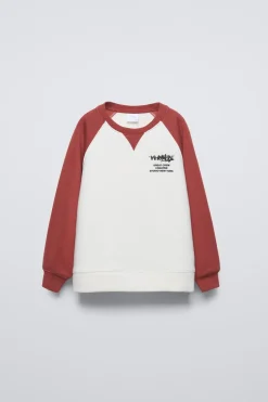 Niños ZARA 6 - 14 Años·Sudaderas<SUDADERA MANGAS CONTRASTE