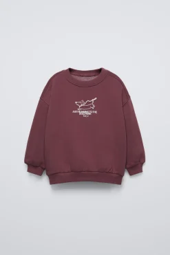 Niños ZARA 1½ - 6 Años·Sudaderas|1½ - 6 Años·Sudaderas<SUDADERA PERRO