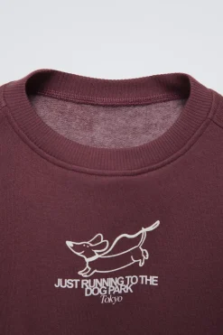 Niños ZARA 1½ - 6 Años·Sudaderas|1½ - 6 Años·Sudaderas<SUDADERA PERRO