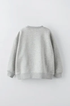 Niños ZARA 6 - 14 Años·Sudaderas<SUDADERAS FLORES 3D