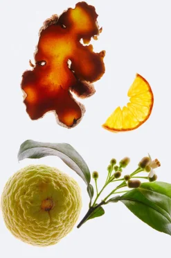 New SUNRISE ON THE RED SAND DUNES 100ML Hombre Perfumes