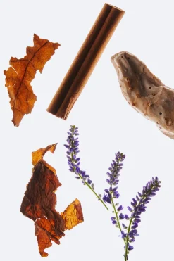 Hot TOBACCO SUBLIME 100ML Hombre Perfumes